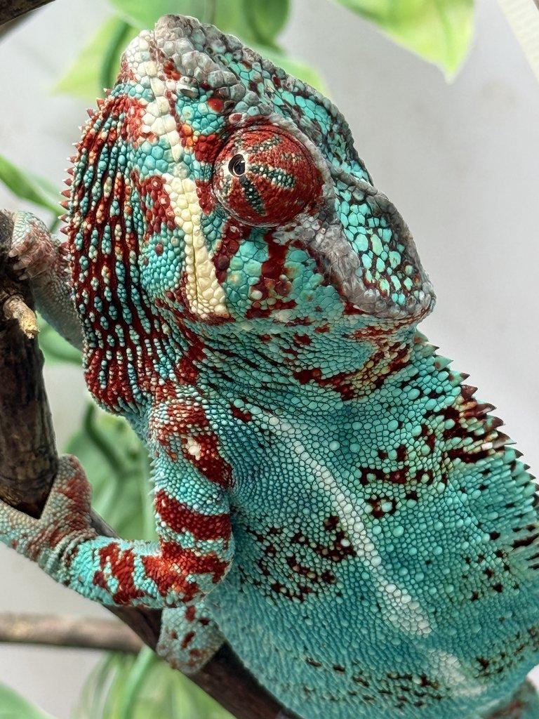 Nosy be 💙💙💙💙💙💙