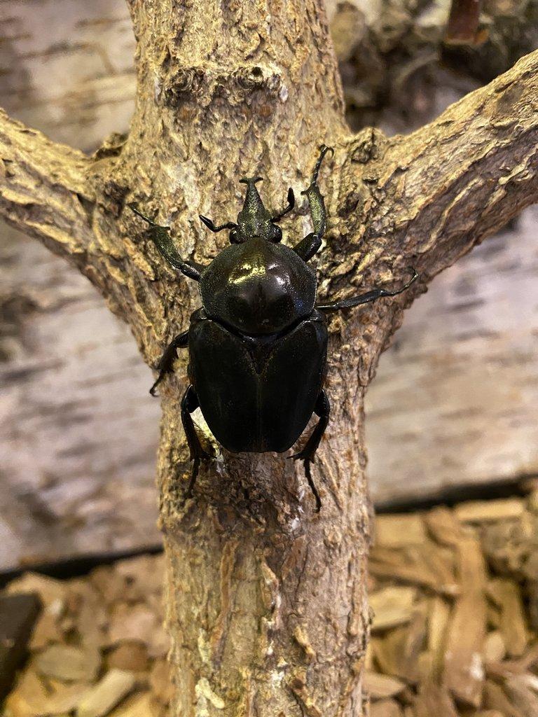 Nabídka březen 2026