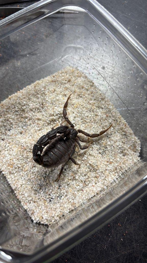 Živá exotika 20.12