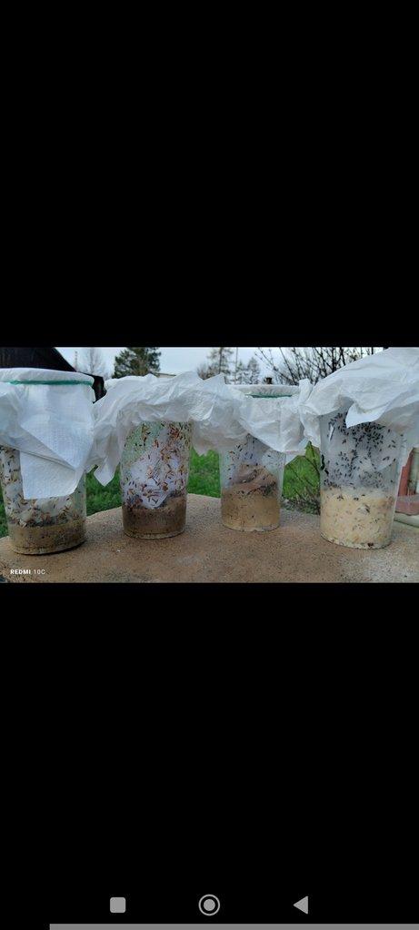 NELÉTAVÉ OCTOMILKY 2 DRUHY +ZRNOKAZ SKVRNITÝ