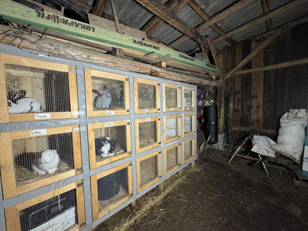 Prodám králíkárnu