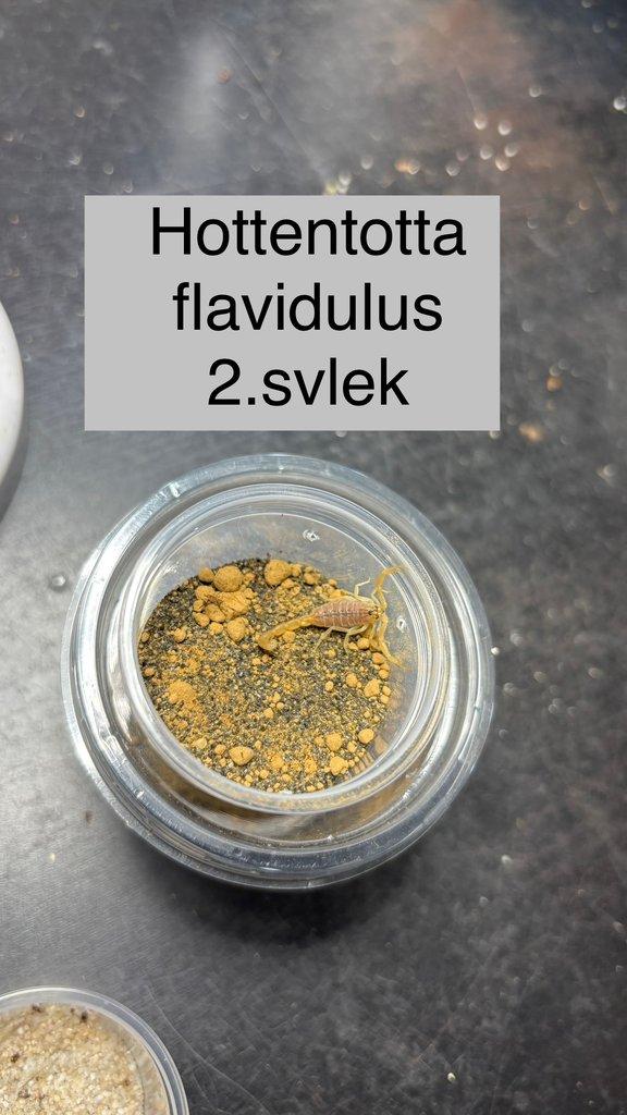 Štíři - aktuální nabídka 13.11