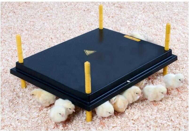 Topná deska WP pro mláďata