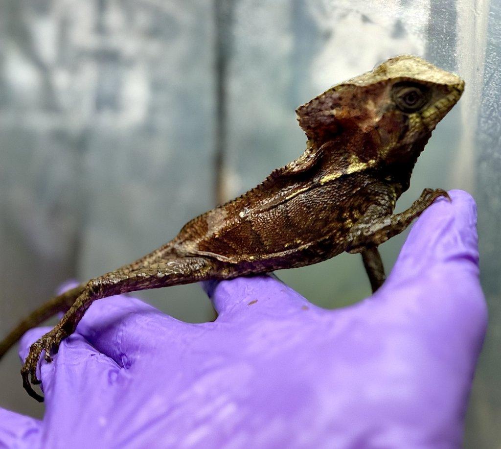 Fresh import odběr po dohodě.