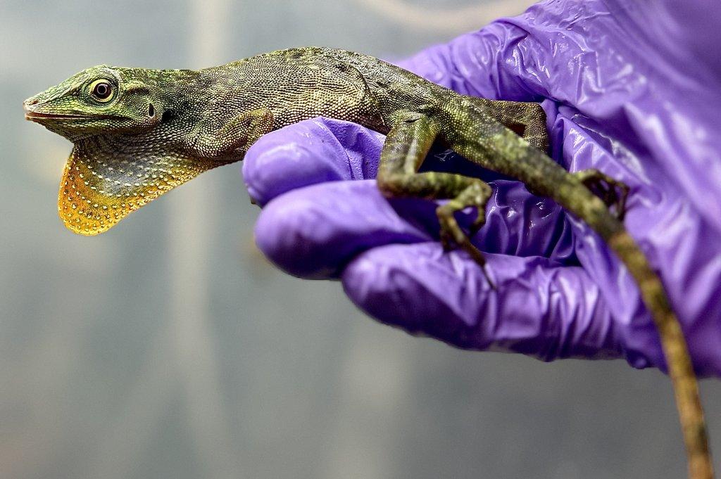 Fresh import odběr po dohodě.