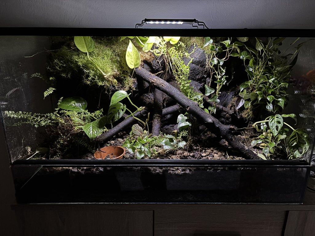 Paludarium
