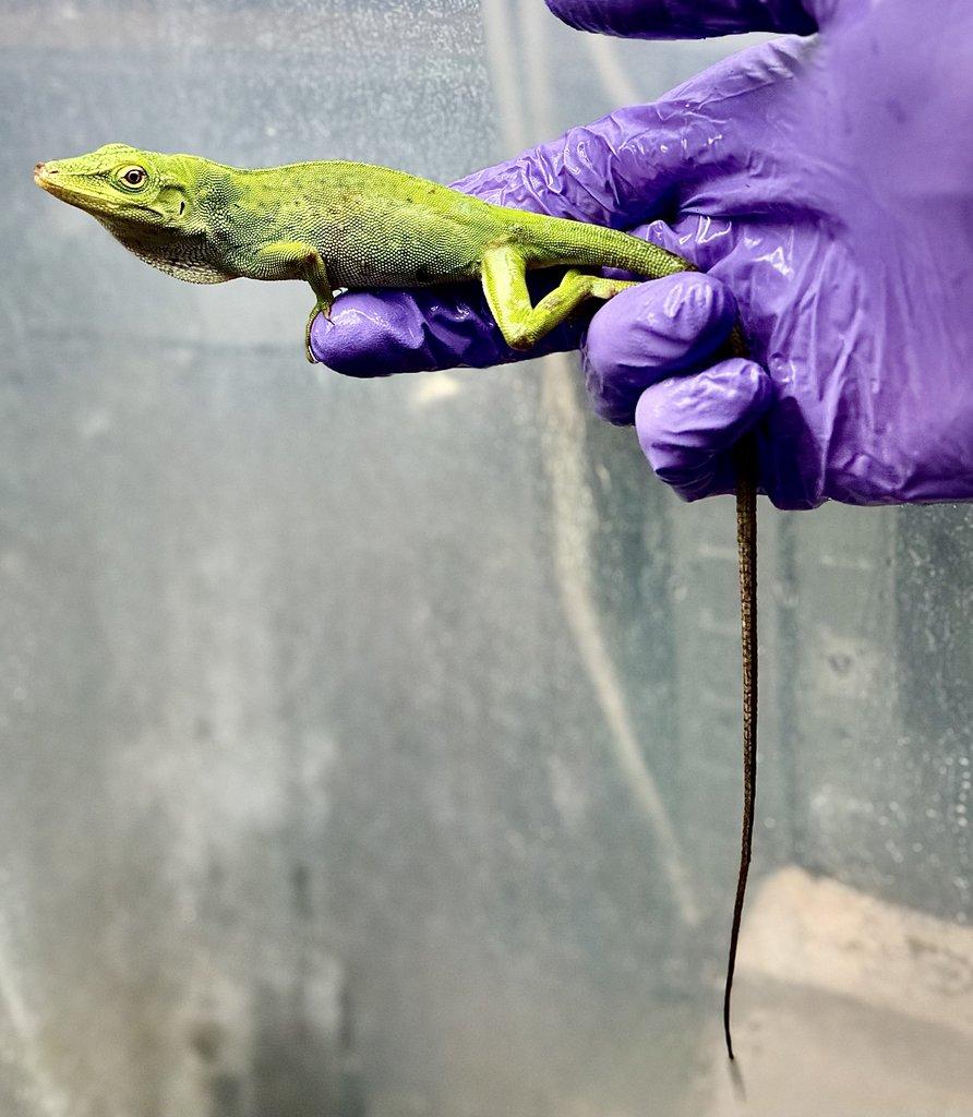 Fresh import odběr po dohodě.