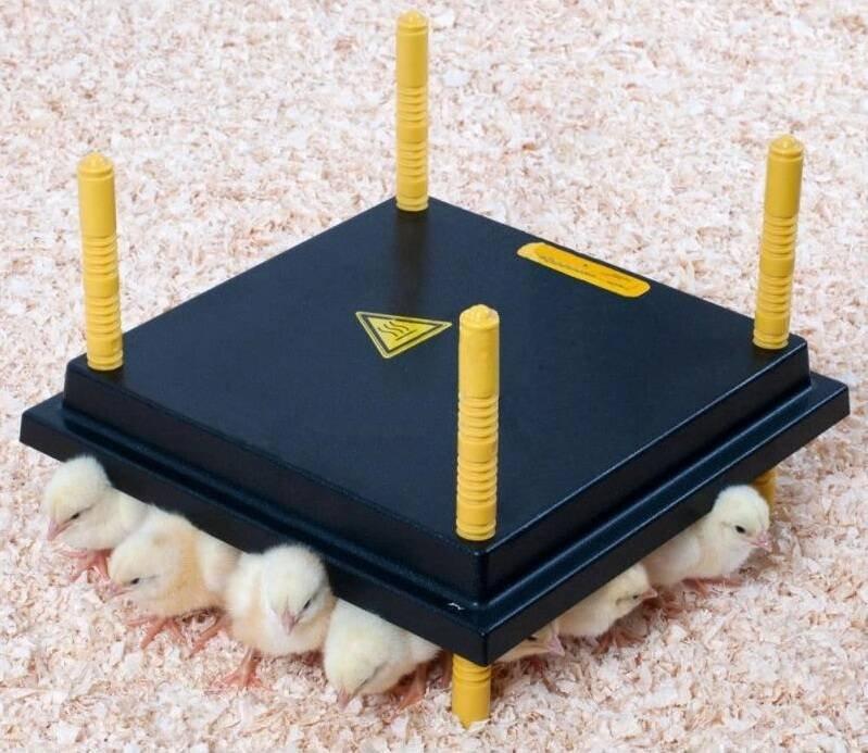 Topná deska WP pro mláďata