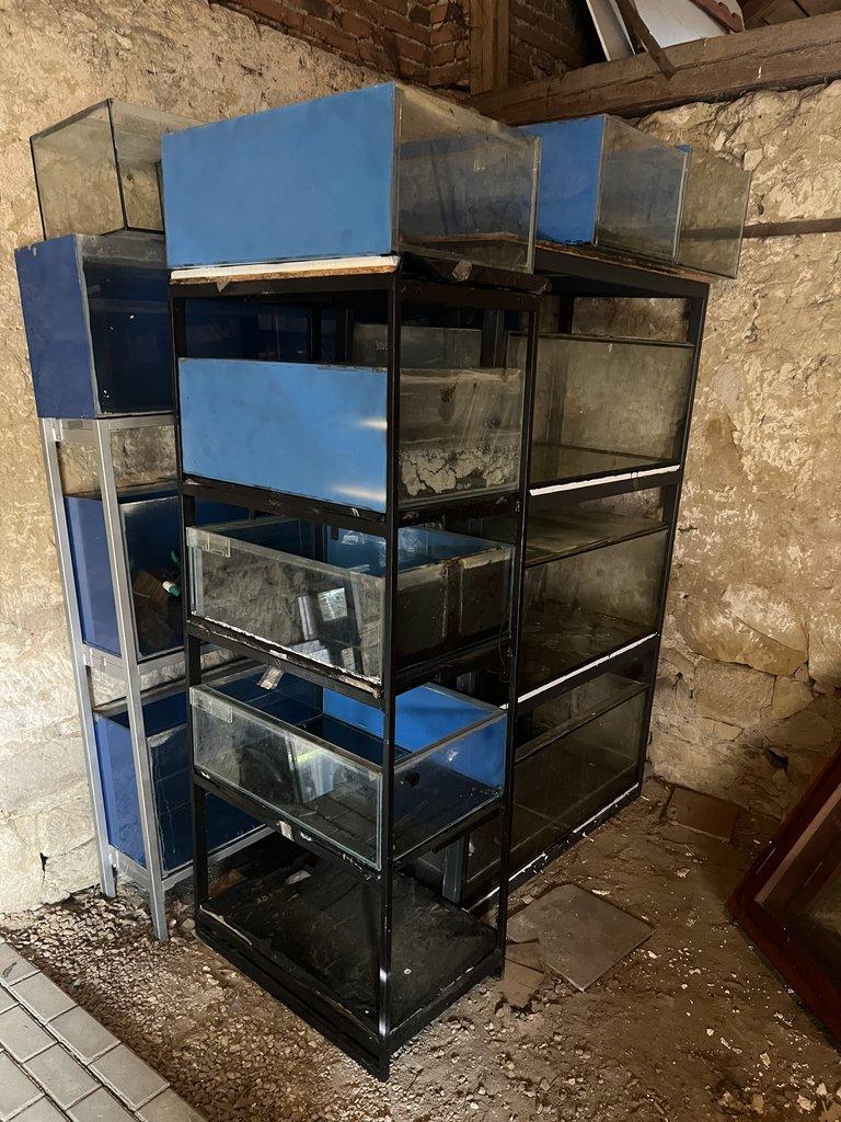 Daruji cca 30 akvarii