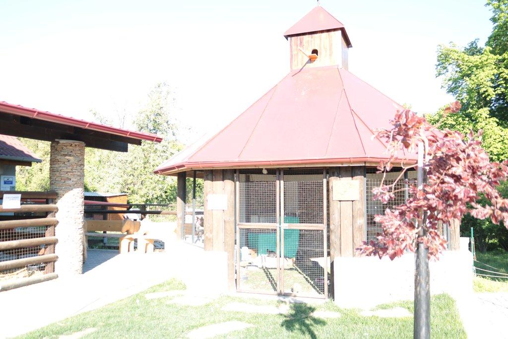 Pronájem celé samostatné stáje s výběhy