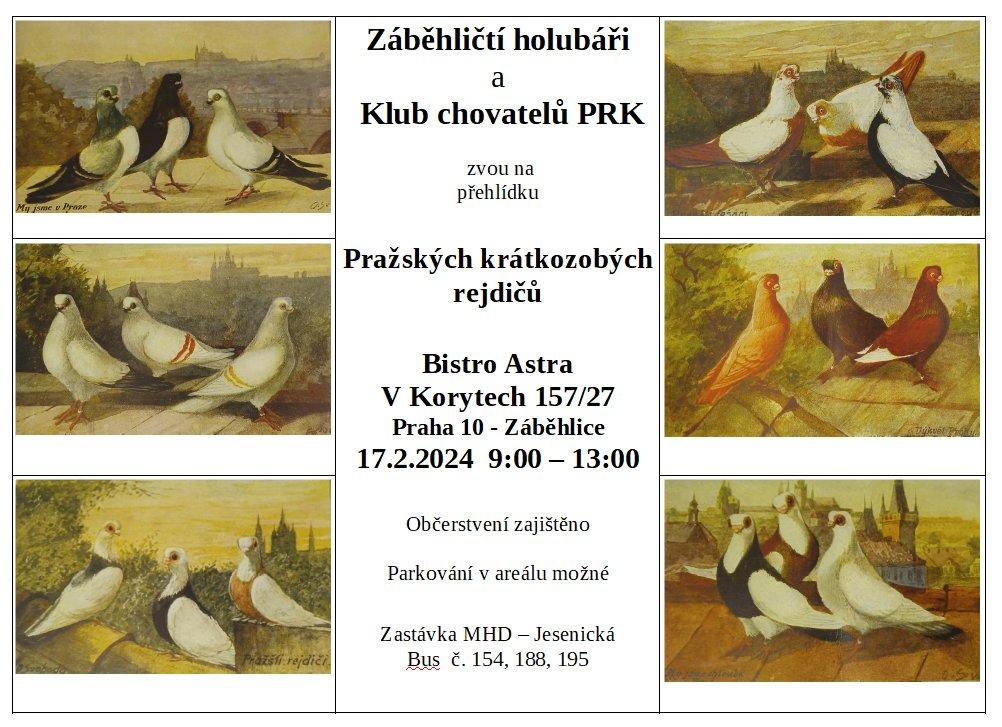 Expozice pražských krátkozobých rejdičů - Praha Záběhlice