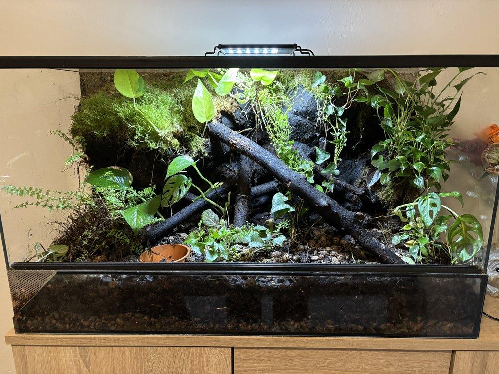 Paludarium
