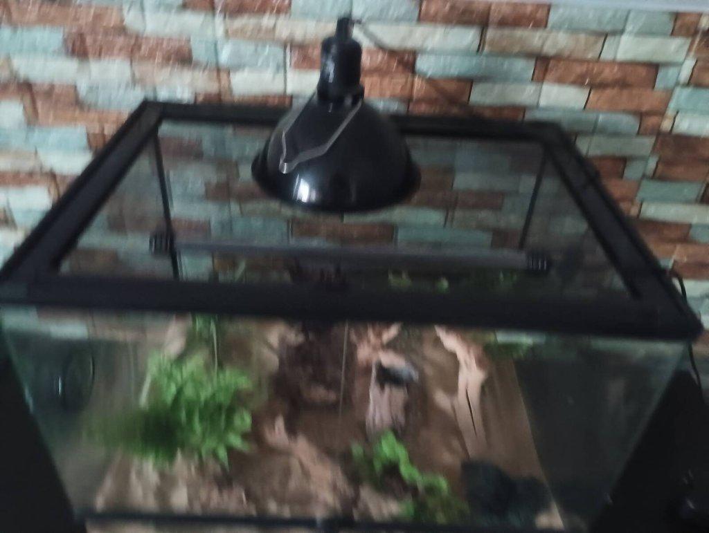 Prodám terárium kompletní.