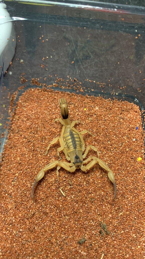 Tera České Budějovice 21.12