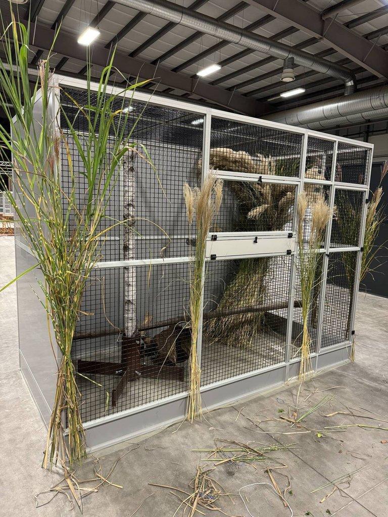 Zakázková výroba klecí a voliér různých rozměrů