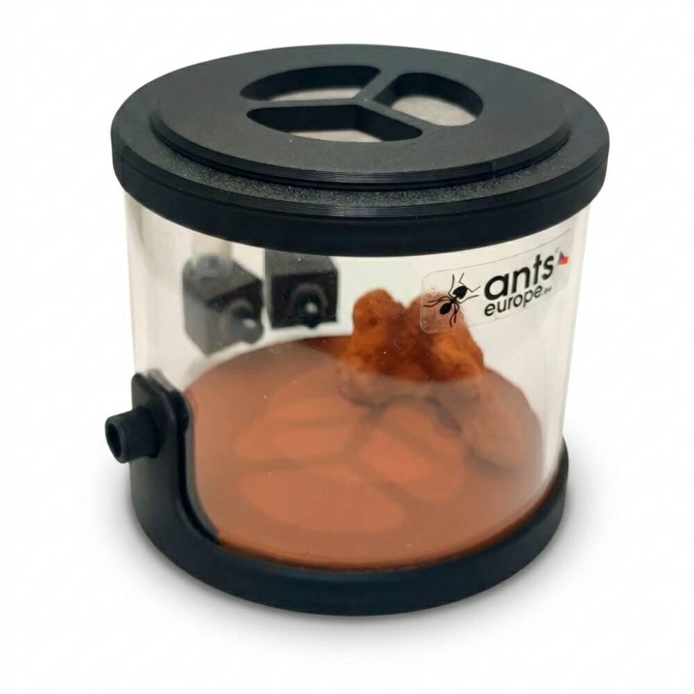 Formikárium ANTcore PRO (set aréna+hnízdo)