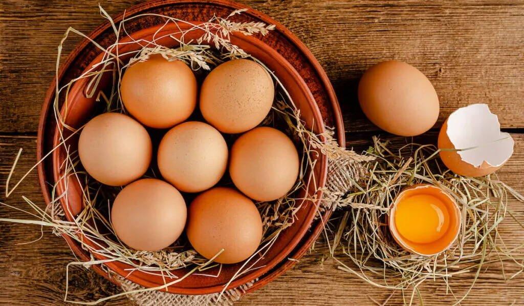 Slepičky Wyandotky zdrobnělé na vajíčka i na okrasu