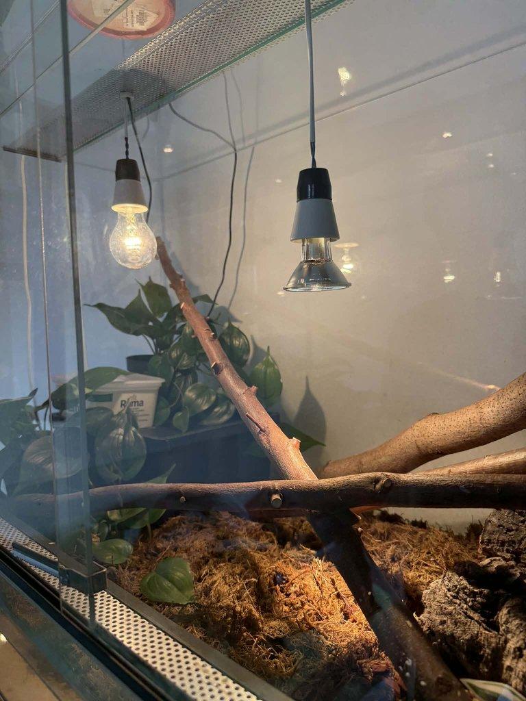 Prodám regál a dvě terária