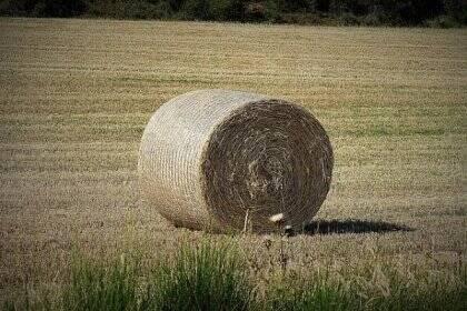 PRODÁM SENO KULATÉ BALÍKY