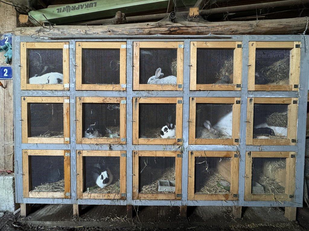 Prodám králíkárnu