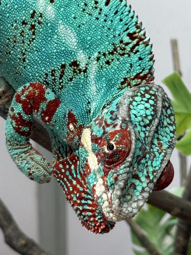 Nosy be 💙💙💙💙💙💙