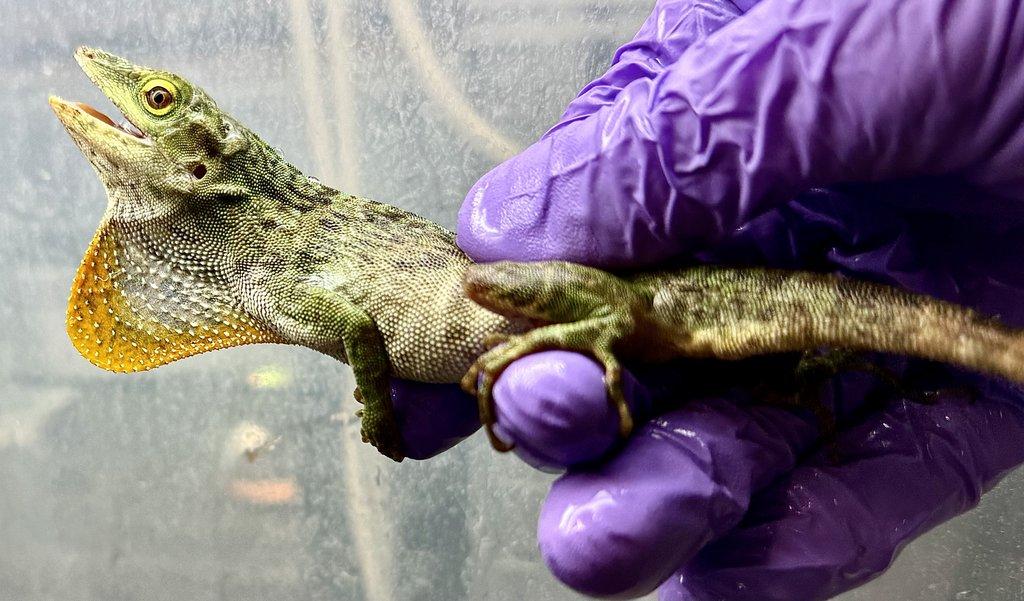 Fresh import odběr po dohodě.