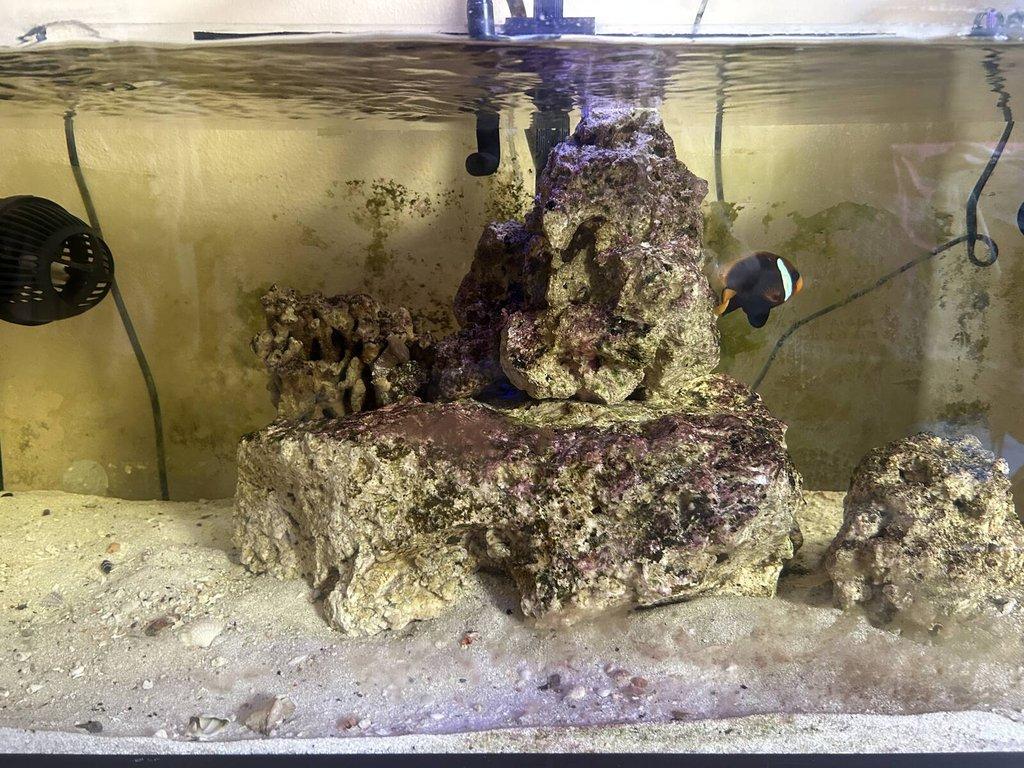 Morské akvárium 80x40x40