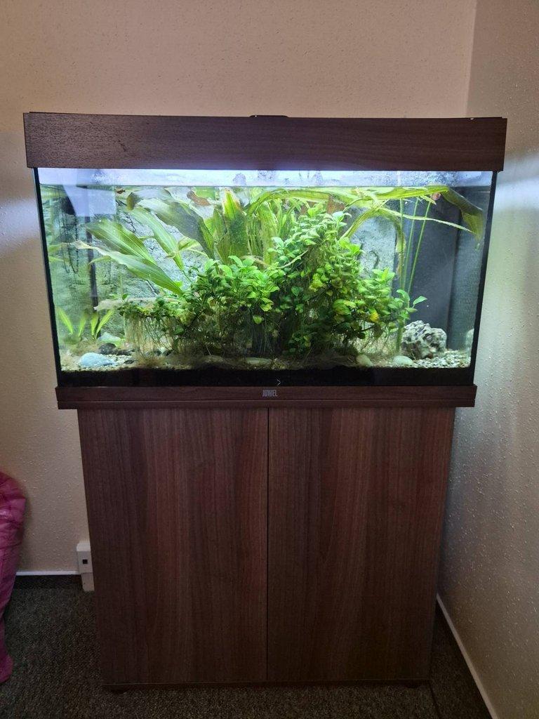 Prodávám akvárium