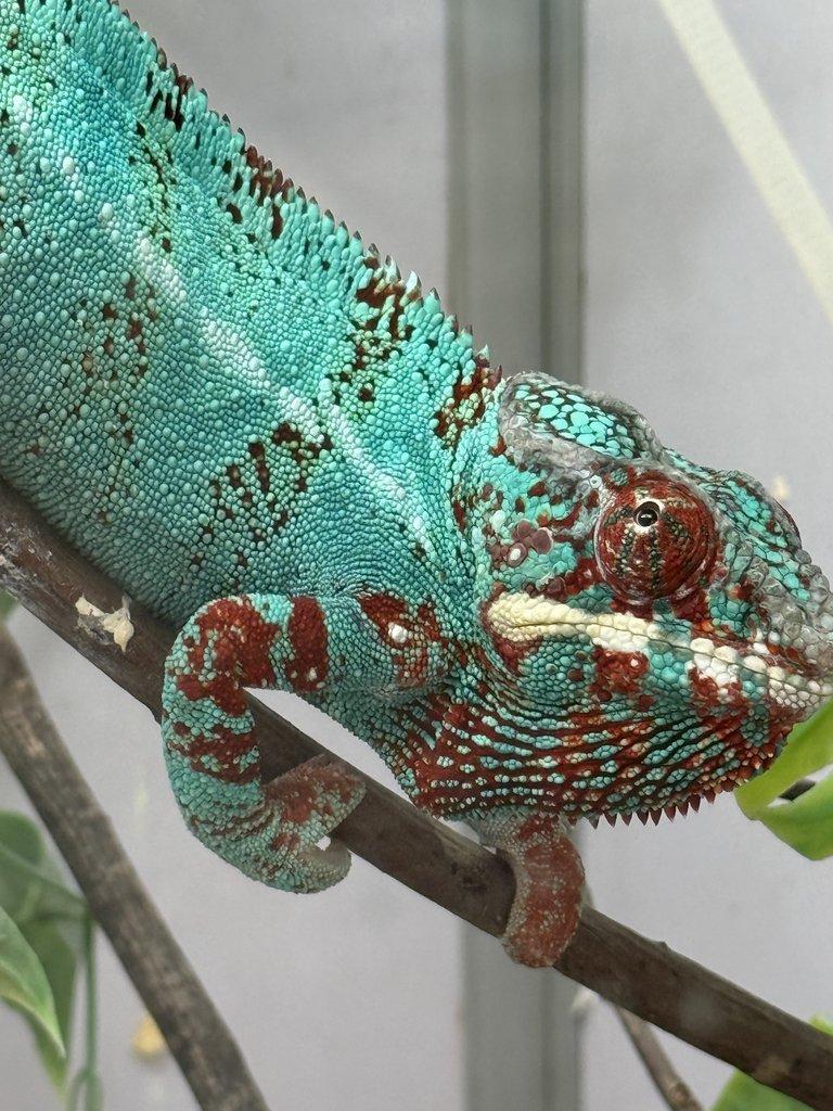 Nosy be 💙💙💙💙💙💙