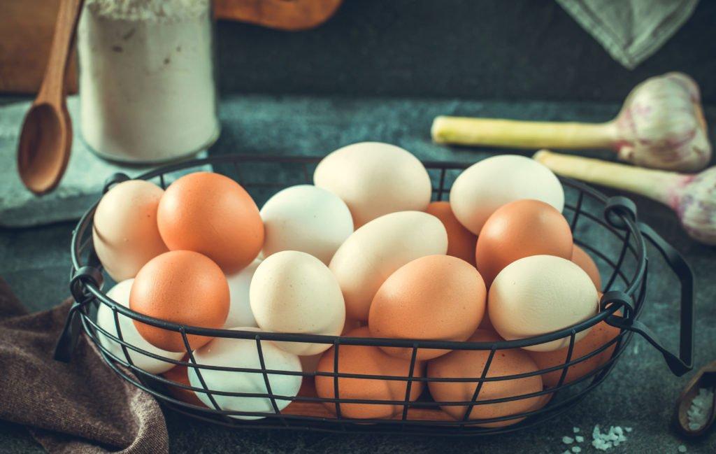 Slepice Nosnice Dominanty 22 týdnů staré, těsně před snáškou, 10 barev na výběr!