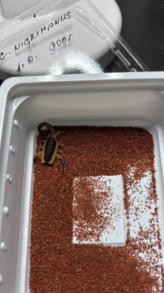 Živá exotika 20.12