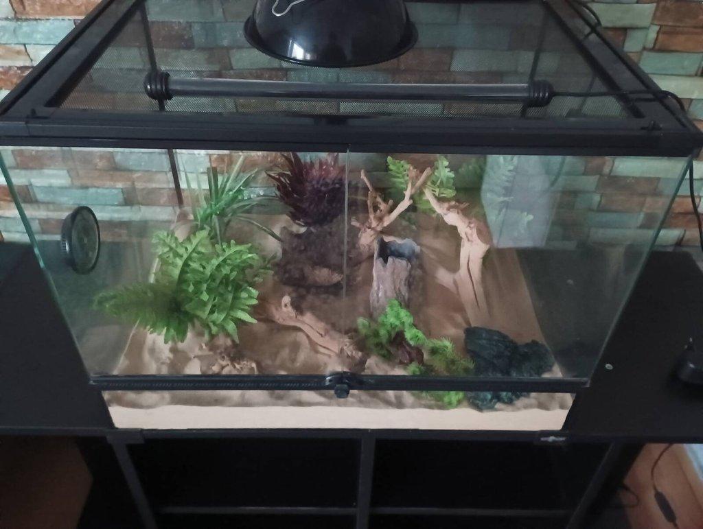 Prodám terárium kompletní.