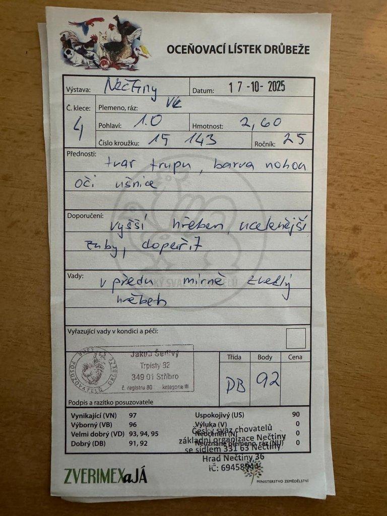 Vlaška koroptví - násadová vejce