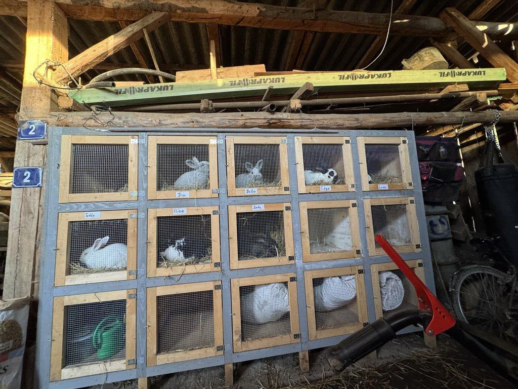 Prodám králíkárnu