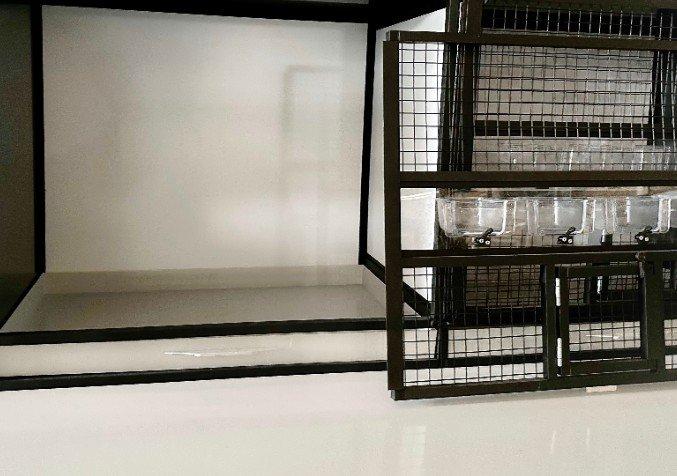 Klec na drobné ptactvo