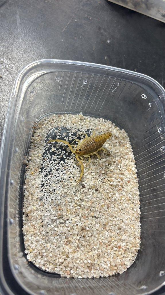 Živá exotika 20.12