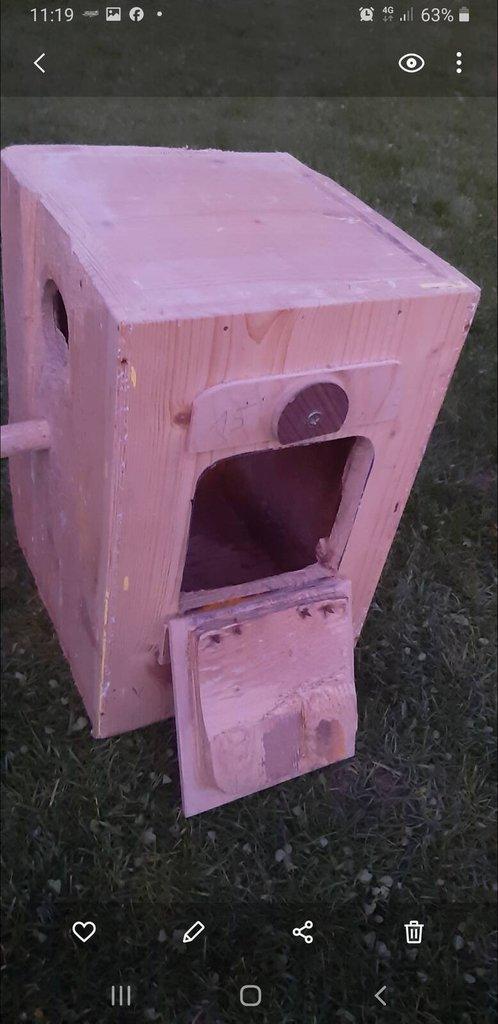 Budky Kakarik, Korely,Neoféma