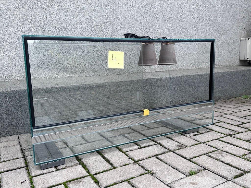 geochelone sulcata želva ostruhatá