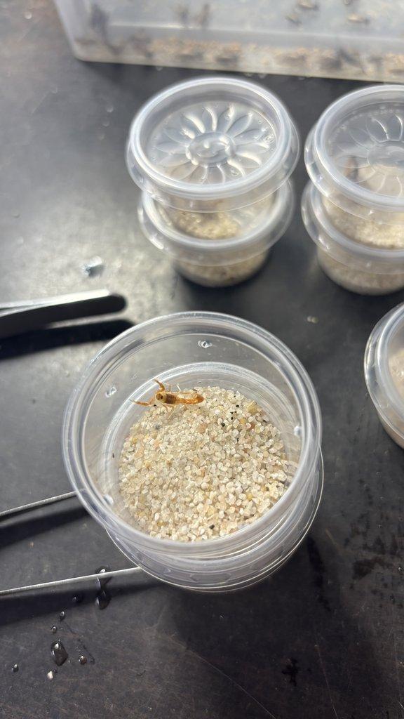 Tera České Budějovice 21.12