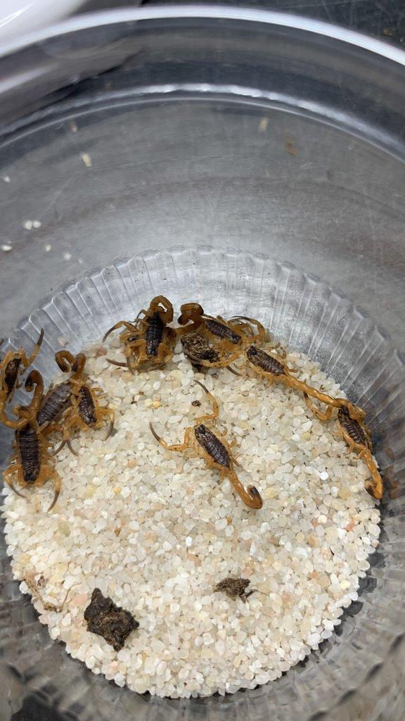 Tera České Budějovice 21.12