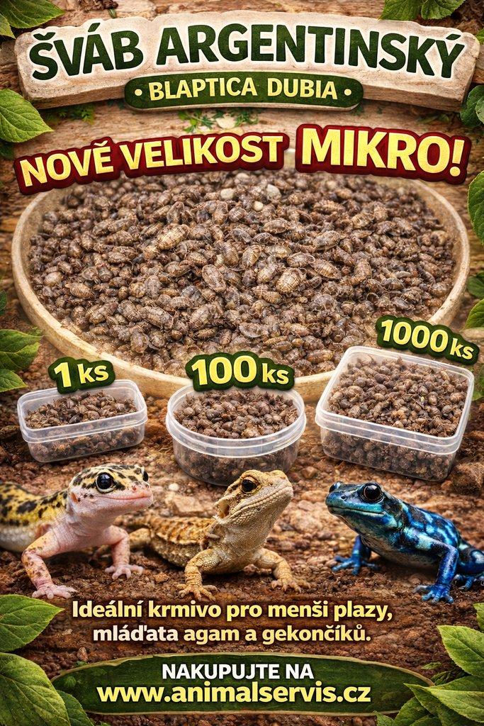 Mšice,Chvostoskoci,Isopodi,Octomilky