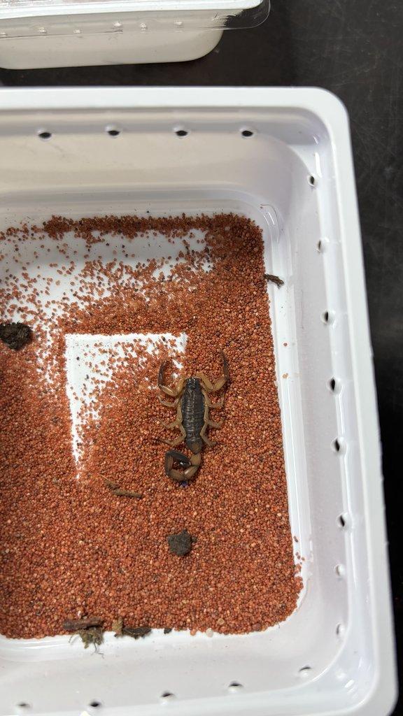 Živá exotika 20.12