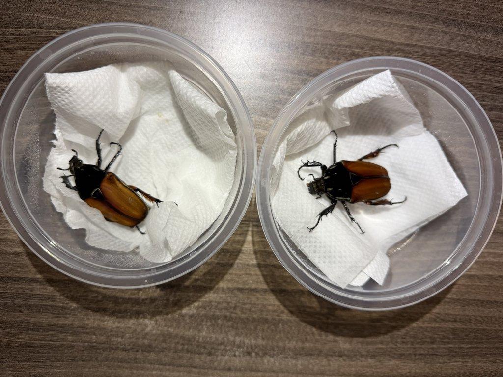 Nabídka březen 2026