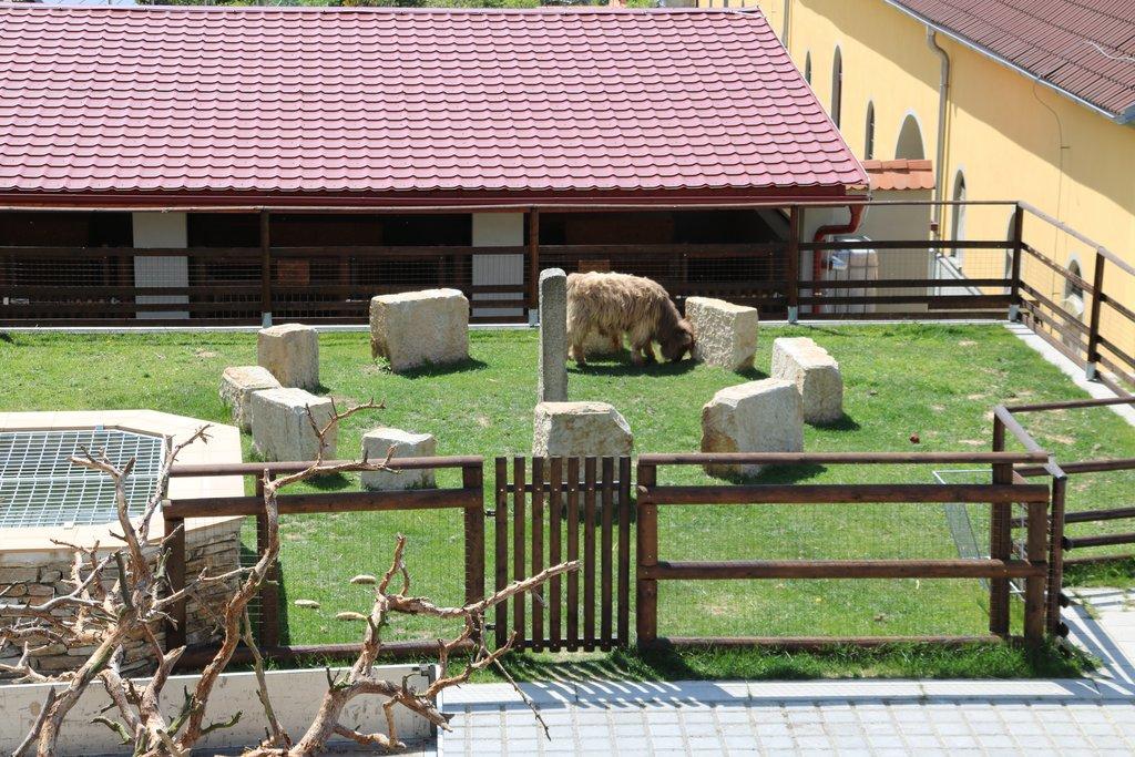 Pronájem celé samostatné stáje s výběhy