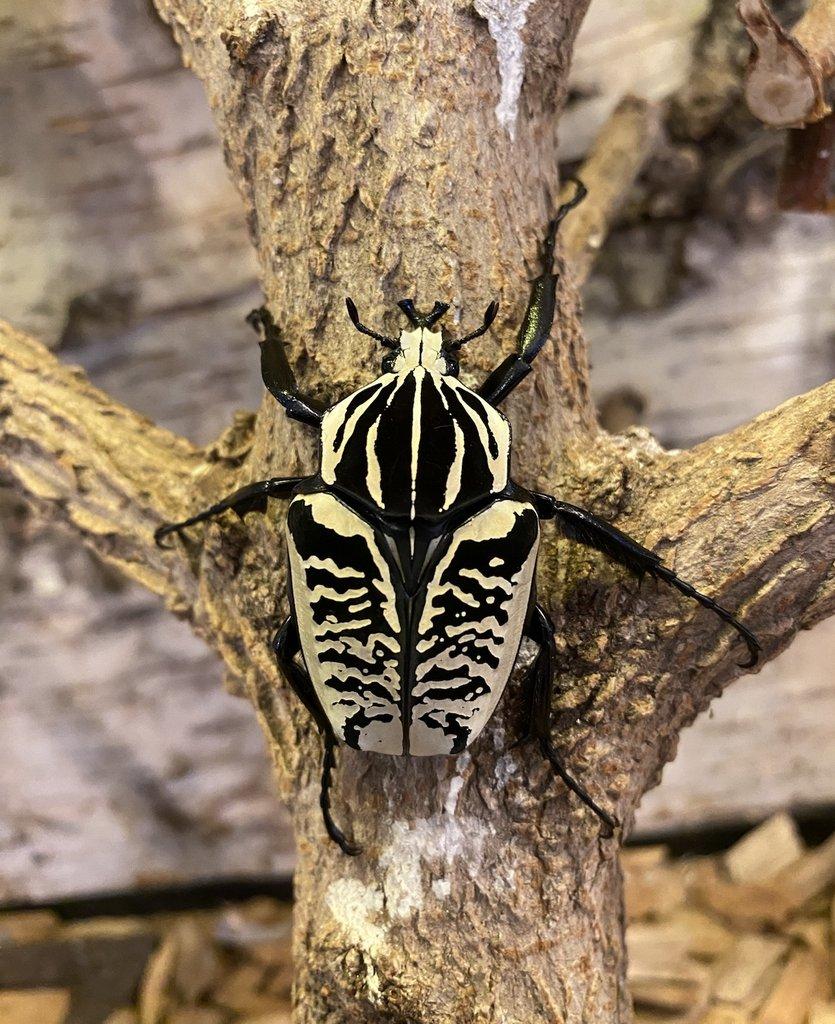 Nabídka březen 2026