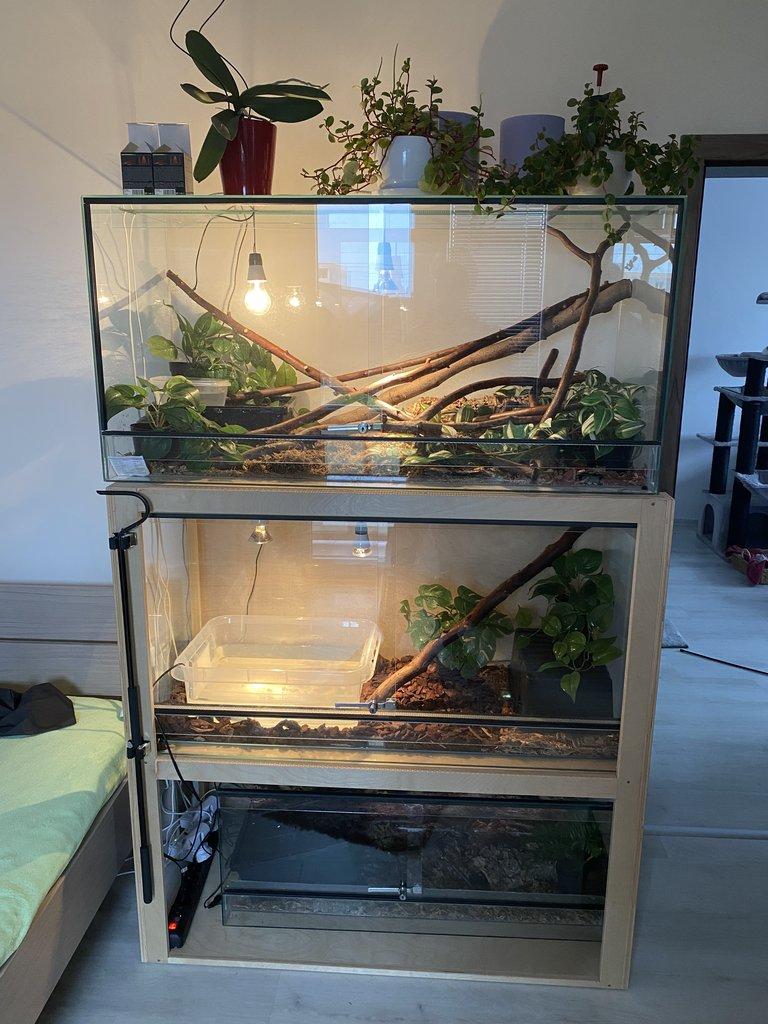 Prodám regál a dvě terária