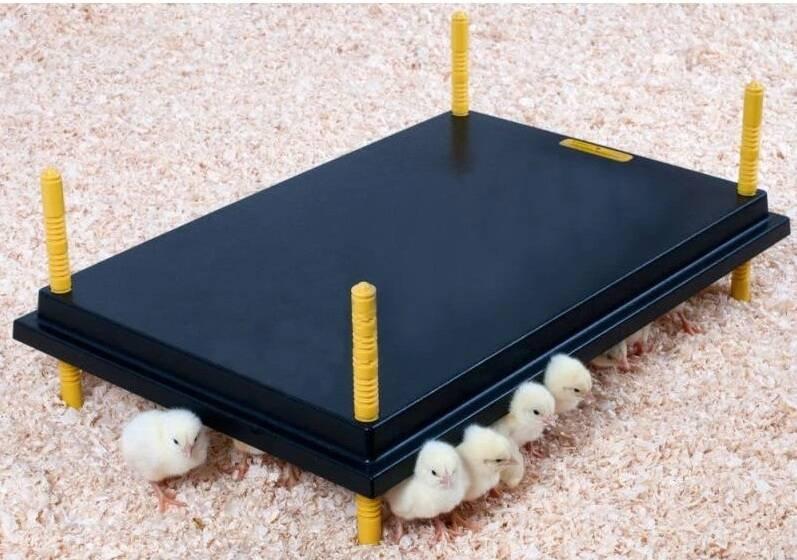 Topná deska WP pro mláďata