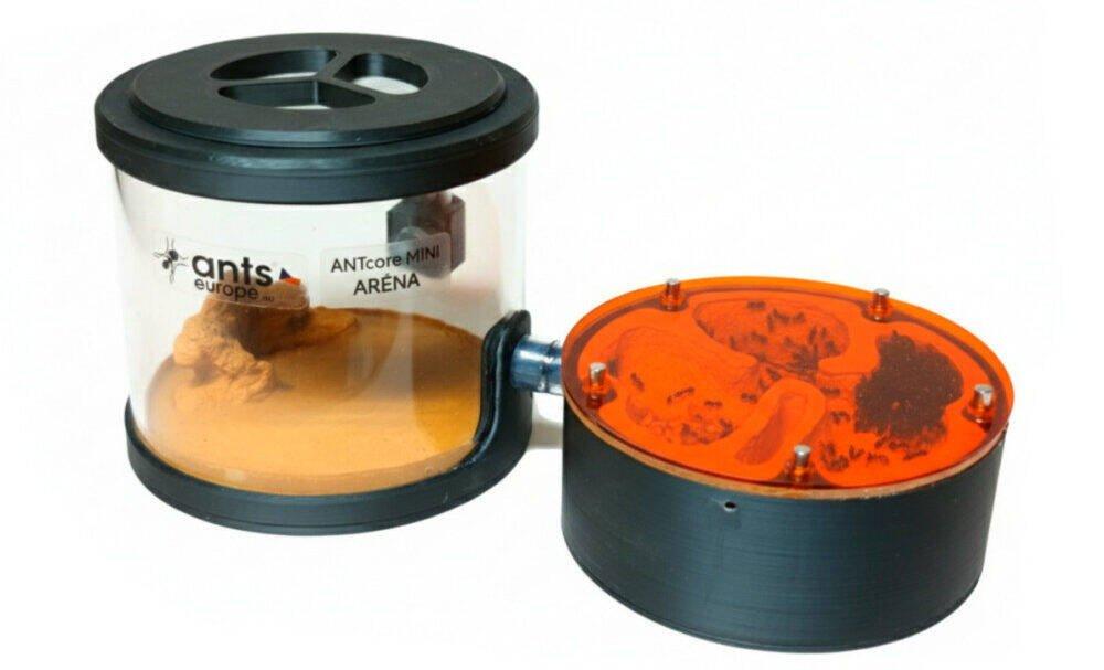 Formikárium ANTcore PRO (set aréna+hnízdo)