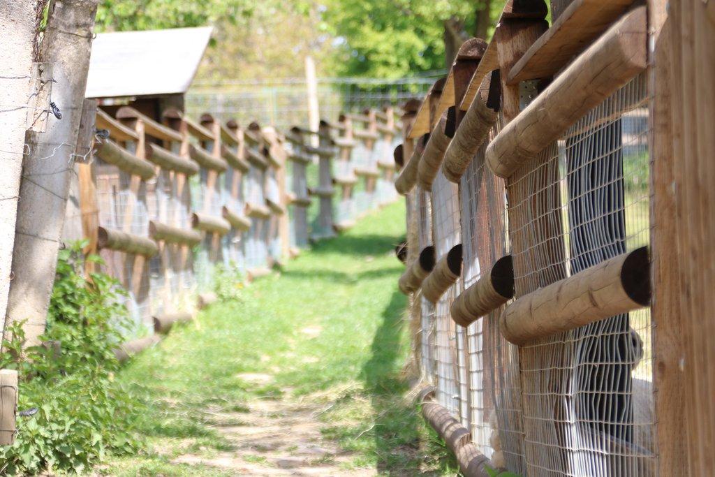 Pronájem celé samostatné stáje s výběhy