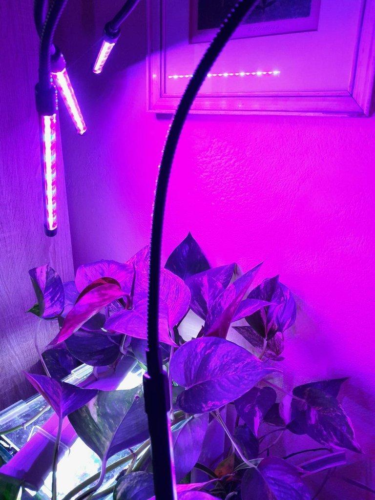 Akvárium 80 l - akvaponie - aquaponic tank